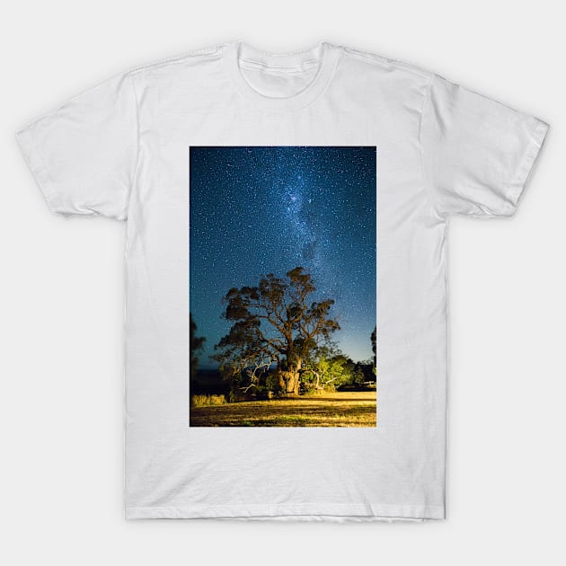 Tree Road T-Shirt by wowcoco